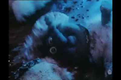 Seymour! - Meet the Feebles