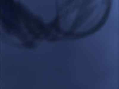 Shadow, take my body - Lexx