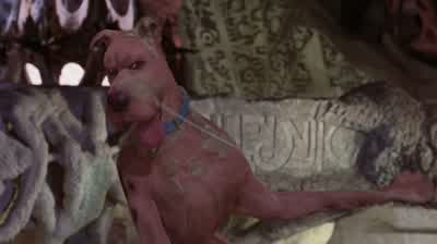 -Shaggy! - Scooby Doo