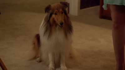 Shake your head or wave your paw
if I'm right, okay? - Ms Fisher's Modern Murder Mysteries
