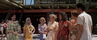 Shall we start our tour with the pineapple fields - Blue Hawaii