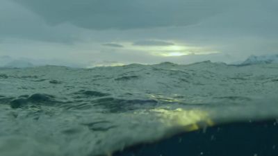 Shallow continental seas are the most productive waters in - Hostile Planet