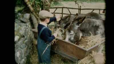 Shane was always very attached to the house, - Crock of Gold: A Few Rounds with Shane MacGowan