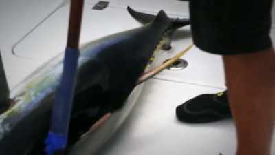 -[shane] boy, these
things are big out here.
-[josh chuckling] yeah. - Deadliest Catch: Bloodline