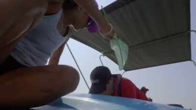 "Shane Gero's methods rely on sound." - Secrets of the Whales