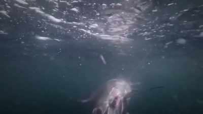 [shane]  he's getting up ther - Deadliest Catch: Bloodline