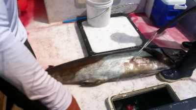 [shane]  I know this fish
 is going to feed
 some people, - Deadliest Catch: Bloodline