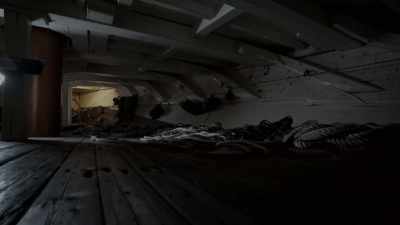 Shane isolated himself
down in the area - The Holzer Files