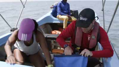 "Shane joins Asha to see
how these whales may differ" - Secrets of the Whales