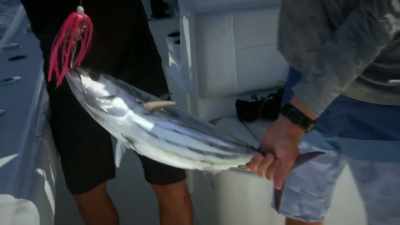 [shane] that literally took,
like, three minutes for that. - Deadliest Catch: Bloodline