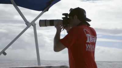 "Shane recognizes
her markings instantly." - Secrets of the Whales