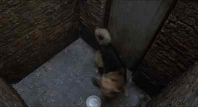 Shane. - Tales from the Crypt