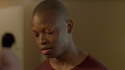 Shardene. - The Wire
