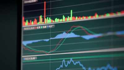 Shares have soared, - Diamond Hands: The Legend of WallStreetBets
