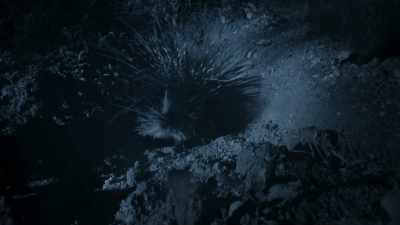 Sharing with a prickly porcupine
isn't appealing. - Wild Babies