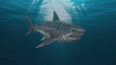 [shark growls] [drill buzzes] - Jurassic Shark 2: Aquapocalypse
