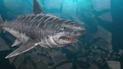 [shark growls] - Jurassic Shark 2: Aquapocalypse