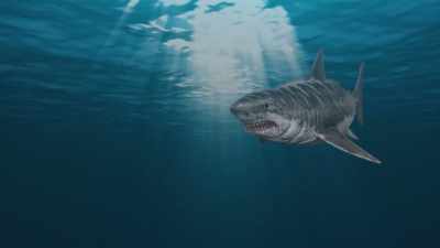 [shark snarls] [ominous music] - Jurassic Shark 2: Aquapocalypse