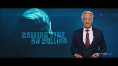 Sharks caught on drumlines
will no longer be killed - Envoy: Shark Cull