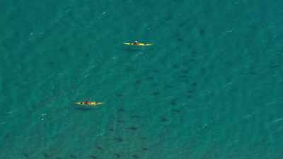 Sharks have been gathering here
since long before people arrived. - Blue Planet II