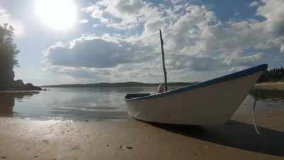 [shaun] the powerful tide
 continues to rush the shore, - Race Against The Tide