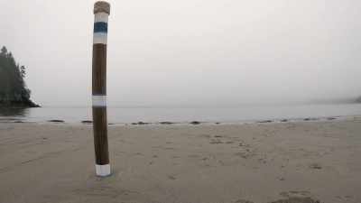 [shaun] as the tide surges
 towards the shore, - Race Against The Tide