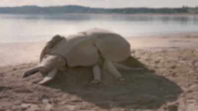 [shaun] wow, dan and jobi.
That is a huge beetle. - Race Against The Tide