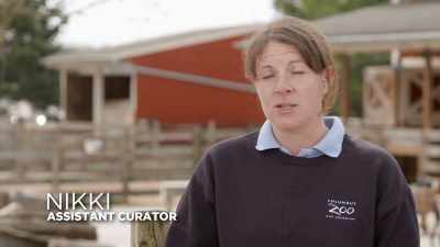 She is a big animal,
she is elderly, - Secrets of the Zoo