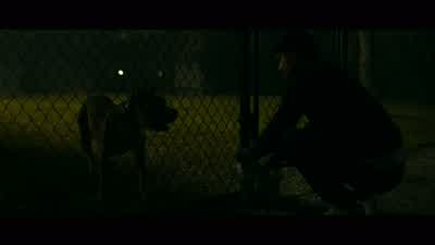 She actually looks bigger up close. - The Killer