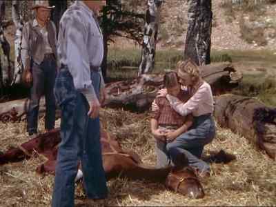 She´s going to die. - My Friend Flicka