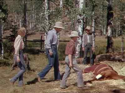 She´s lying down again. - My Friend Flicka