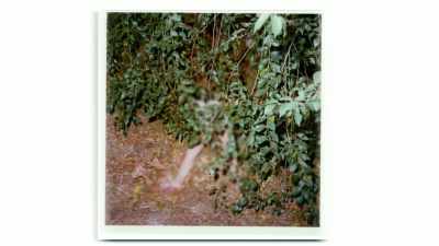 She also had hypodermic
marks on her arm. - The Hillside Strangler
