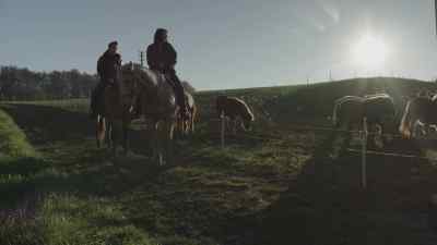 She always greeted me with
a neigh, anytime she saw me, - A Christmas Dream