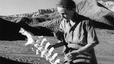 She came across Georgia O'Keeffe's work. - Kusama : Infinity