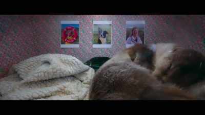 She can't get comfortable. - Billy & Molly: An Otter Love Story