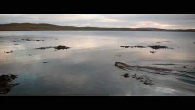 She can't have been
much more than six months. - Billy & Molly: An Otter Love Story