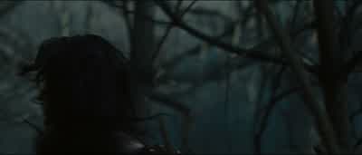 She can't have gone far. - Snow White and the Huntsman