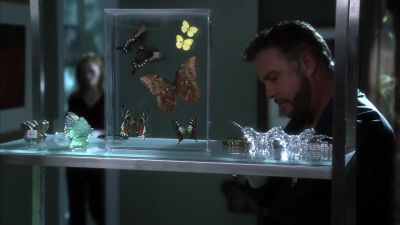 She changed her sheets for her date
- I would. - CSI: Crime Scene Investigation