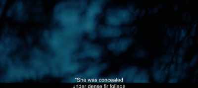 "She was concealed under dense fir foliage - The Most Beautiful Boy in the World
