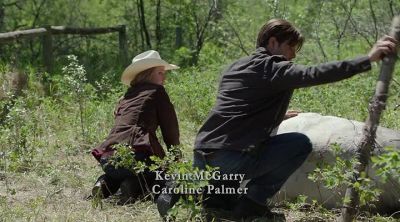 She could've seriously injured herself,
Amy. - Heartland