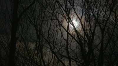 SHE CRAWLED AWAY A LITTLE BIT, - Evil Lives Here: Shadows Of Death