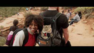 She definitely recognizes home, - Cat Daddies