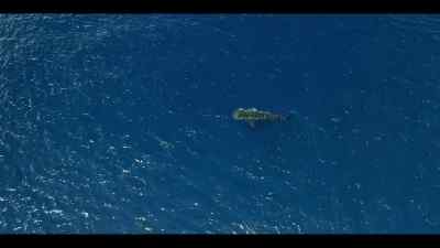 She detects another disturbance - Our Oceans