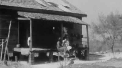 She died when my
grandfather was very young, - The Rebellious Life of Mrs. Rosa Parks