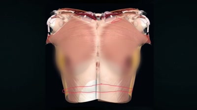 She was disarticulated
at the kneecaps. - Killers: Caught on Camera