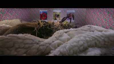 She doesn't have all those
scatter cushions to worry about. - Billy & Molly: An Otter Love Story