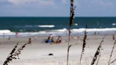 She was drawn to the beach, but I think it was more so - The Killer Truth