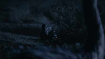 She is extremely hungry but wary - Prehistoric Planet
