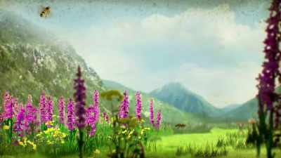 She even factored in wind
speed to more finely calibrate
the message she danced. - Cosmos: Possible Worlds