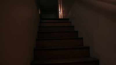She fell backwards down the stairwell. - Into the Fire: The Lost Daughter